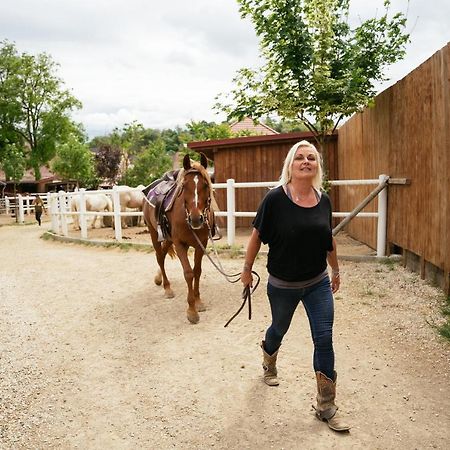 Ranchzimmer Am Hippo-Campus Reit- Und Therapiezentrum Deutsch Haslau 外观 照片