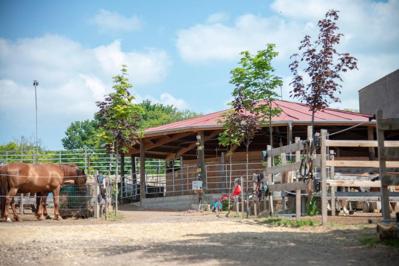 Ranchzimmer Am Hippo-Campus Reit- Und Therapiezentrum Deutsch Haslau 外观 照片
