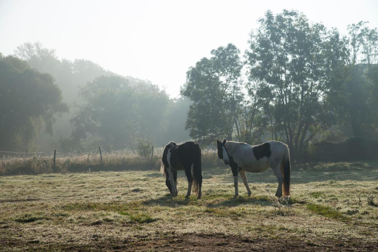 Ranchzimmer Am Hippo-Campus Reit- Und Therapiezentrum Deutsch Haslau 外观 照片